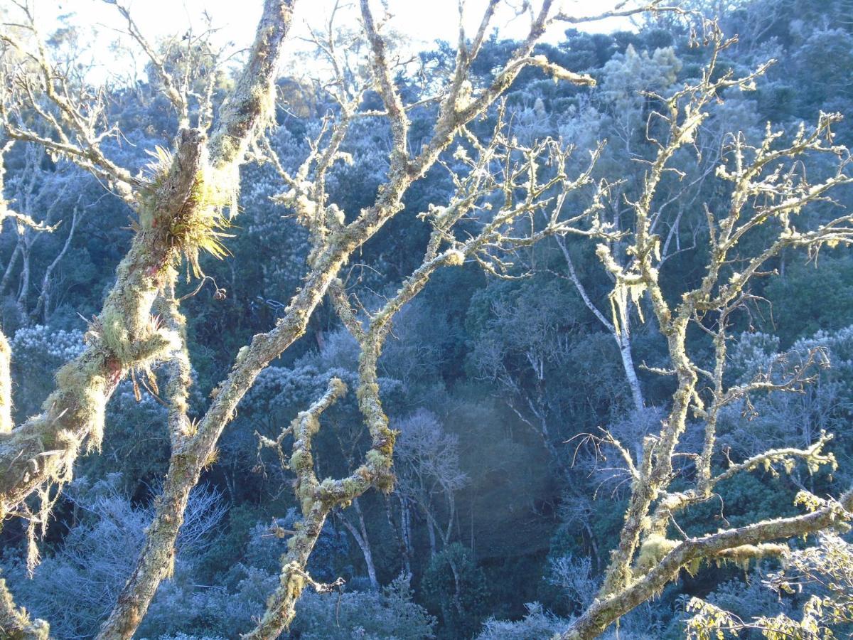 Refugio Monte Olimpo Otel Campo Alegre  Dış mekan fotoğraf