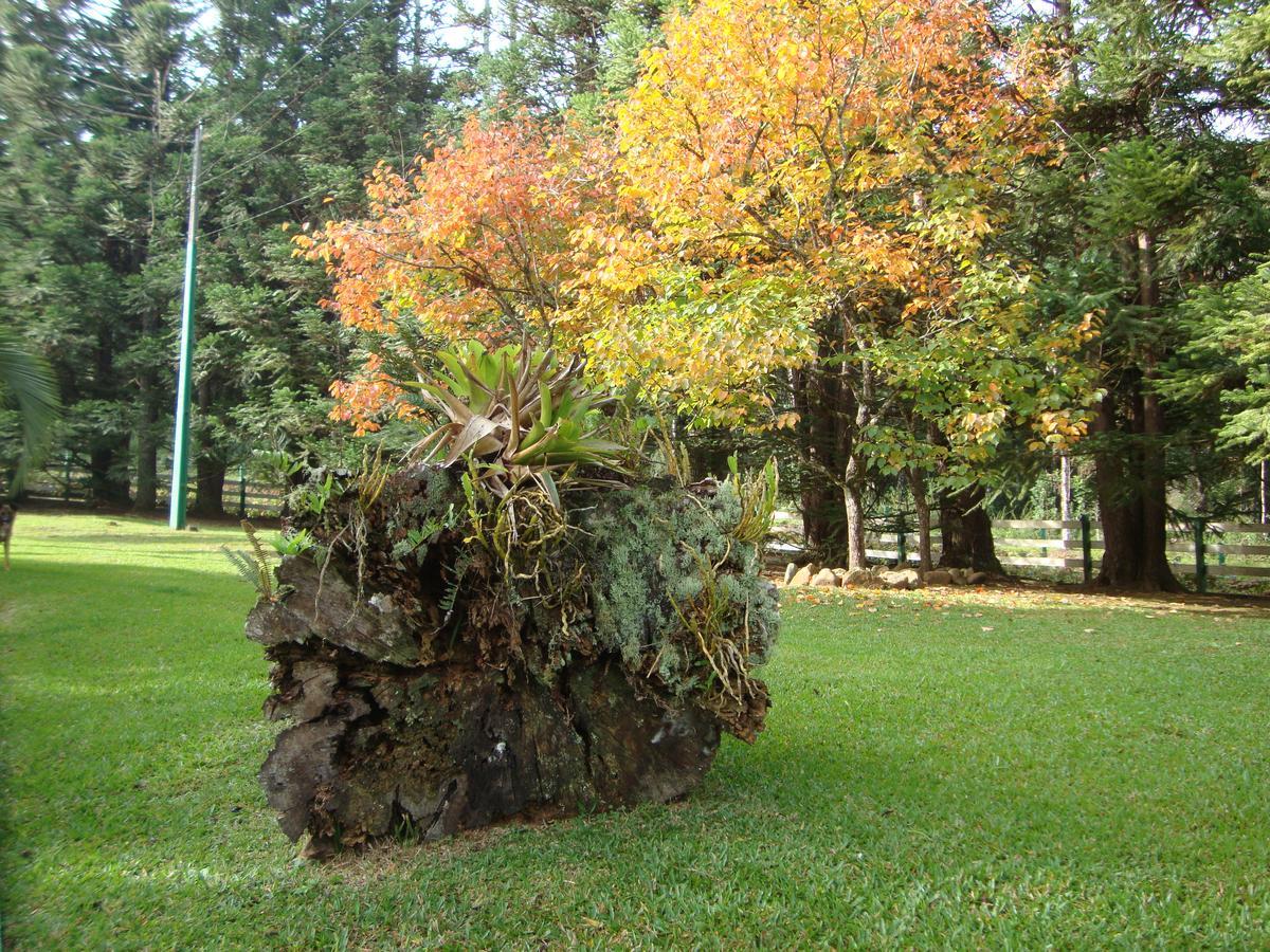 Refugio Monte Olimpo Otel Campo Alegre  Dış mekan fotoğraf